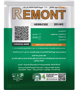 Remont