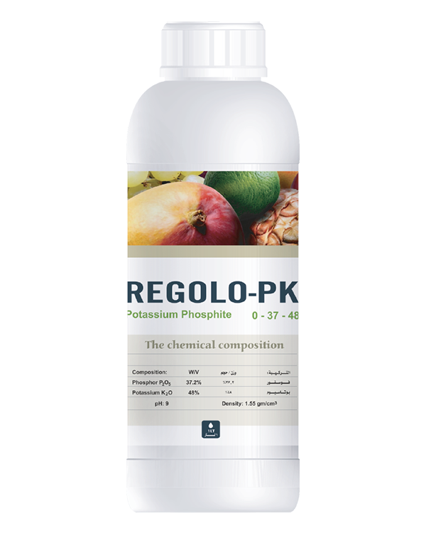 Regolo PK