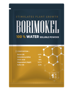 Borimokel