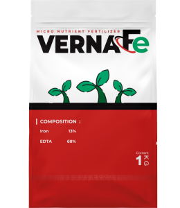 Verna-Fe