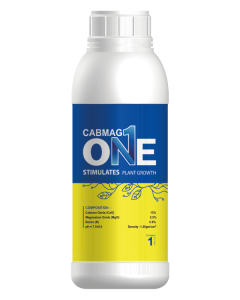 Cabmag-One