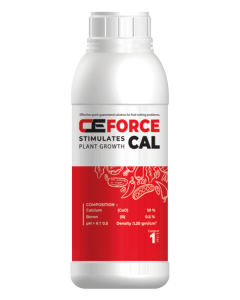 Ceforce-Cal
