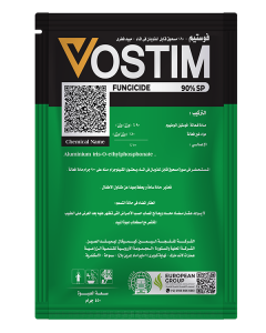 فوستيم