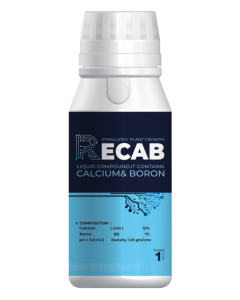 Recab