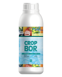 Crop-Bor